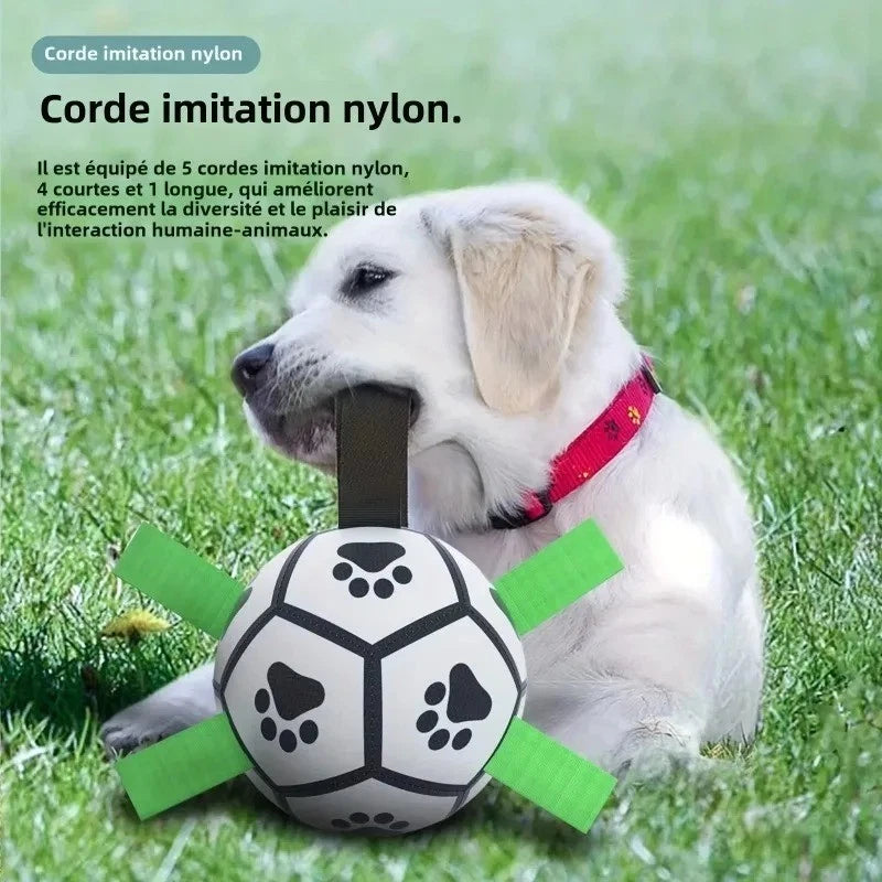 Pet Dog Football Toy Puppy Outdoor Training Interactive Soccer Play Ball